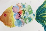 art class fish